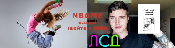 гидропоника Алзамай
